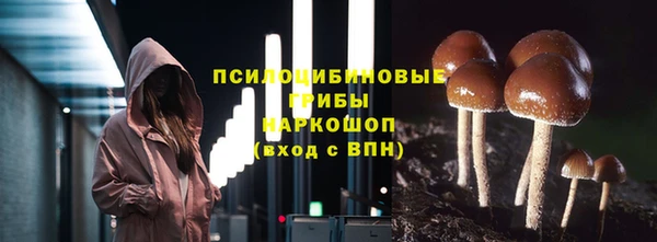 скорость Няндома
