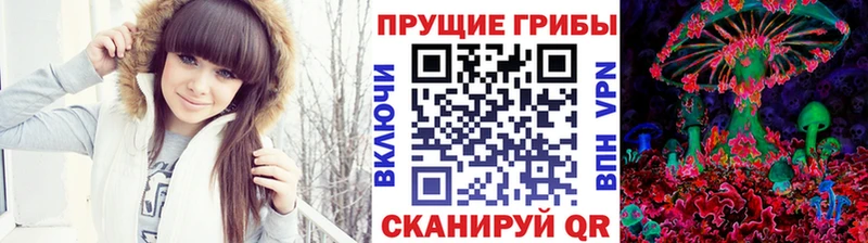 сколько стоит  Темников  Псилоцибиновые грибы мицелий 